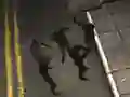 Peli Zombie Reborn verkossa