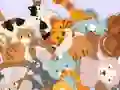 Peli Find The Kitty verkossa