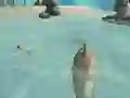 Peli Shark Simulator Beach Killer verkossa