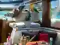 Peli Caribbean Crime verkossa