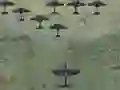 Peli Wings Of Glory verkossa