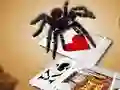 Peli Jumping Spider verkossa