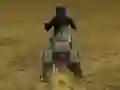 Peli Real Moto Stunts Challenge verkossa