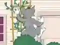 Peli Tom und Jerry: Wasserbomben Wahnsinn verkossa