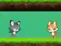 Peli Cat vs Dog verkossa
