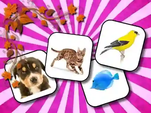 Peli Animals Memory verkossa