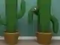 Peli Cactus Cube verkossa