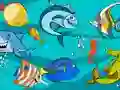 Peli Fish Differences verkossa