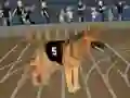 Peli Crazy Dog Racing Fever verkossa