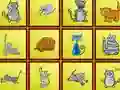 Peli Cats Findiff verkossa