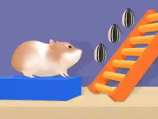 Peli Hamster Stack Maze verkossa