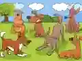 Peli Animals Differences verkossa