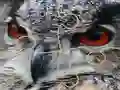 Peli Wild owl Jigsaw verkossa