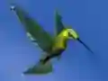 Peli Hummingbird House Escape verkossa