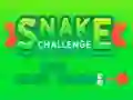 Peli Snake Challenge verkossa