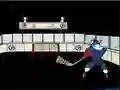 Peli Capitaine Cage Hockey verkossa