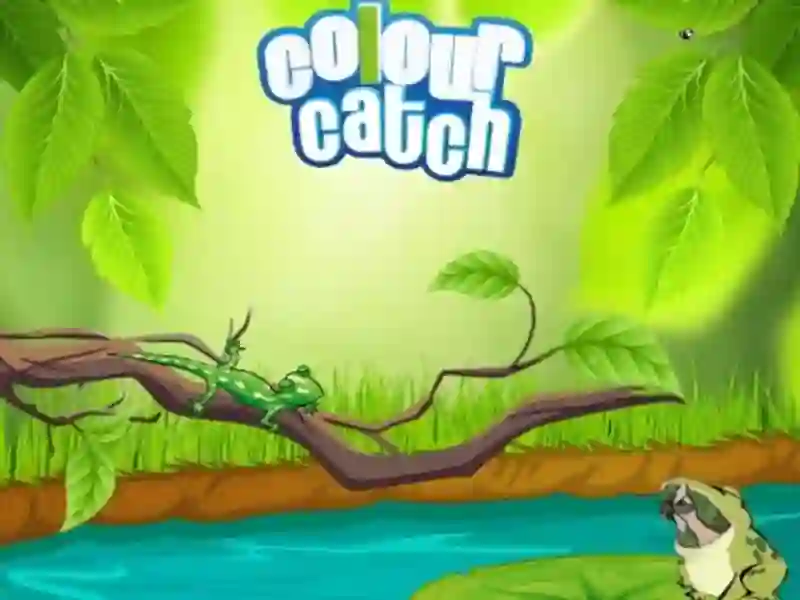 Peli Colour Catch verkossa