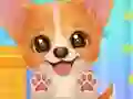 Peli Adopt Your Pet Puppy verkossa