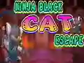 Peli Ninja Black Cat Escape verkossa