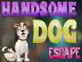 Peli Handsome Dog Escape verkossa