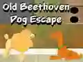 Peli Old Beethoven Dog Escape verkossa