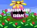 Peli Blossom Land Escape verkossa