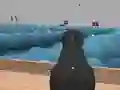Peli Ships 3D verkossa