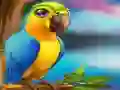 Peli Little Parrot Escape verkossa