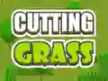 Peli Cutting Grass verkossa