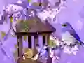 Peli Wonderful Humming Bird Land Escape verkossa