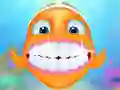 Peli Aqua Fish Dental Care verkossa