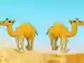 Peli Desert Gold Rush The Great Treasure Escape verkossa