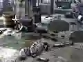 Peli Friends Rescue From Skeleton verkossa