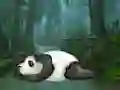 Peli Wakeup The Sleeping Panda verkossa
