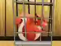 Peli Rescue The Red Squirrel From Cage verkossa