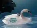 Peli Save The Swan Mother Child verkossa