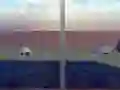 Peli Escape from the House with Turtles verkossa