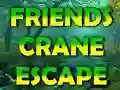 Peli Friends Crane Escape verkossa