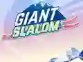 Peli Giant Slalom verkossa