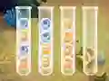 Peli Sort Bubbles verkossa