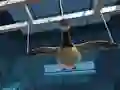 Peli Goose Museum verkossa