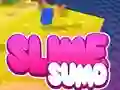 Peli Sumo Slime 3D verkossa