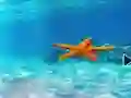Peli Escape From Underwater Starfish verkossa