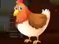 Peli Cute Brahma Chicken Escape verkossa