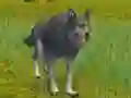 Peli The Wolf: Wild Animal Simulator verkossa