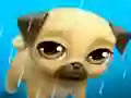 Peli My Virtual Pet Louie the Pug verkossa