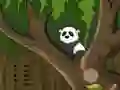 Peli Panda Jungle Escape verkossa