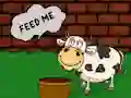 Peli Find The Cow Feed verkossa
