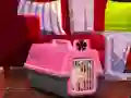 Peli Escape The Small Pug verkossa