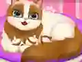 Peli Cute Kitty Pregnant verkossa
